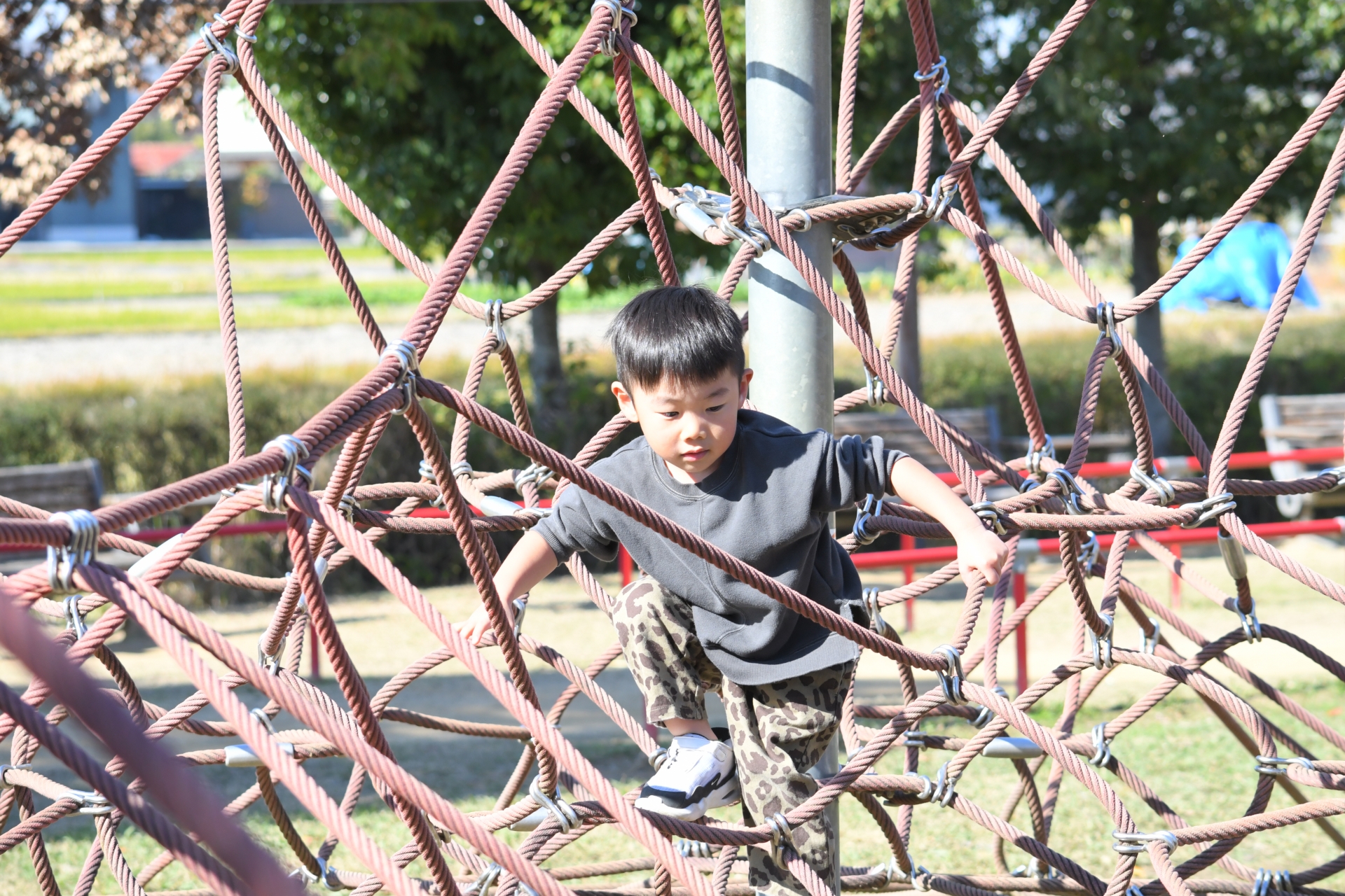 死後すら逃げられない—「未払い養育費」という呪いの遺産